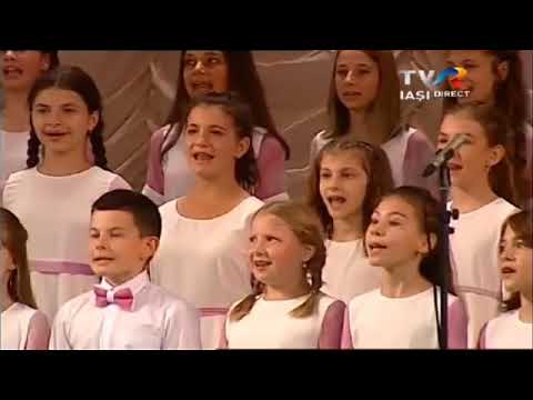 Taraselul - Angeli Junior
