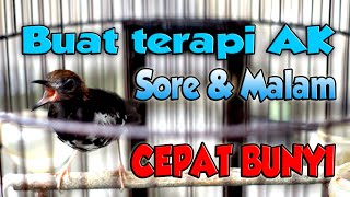 Download lagu PAS BANGET BUAT TERAPI ANIS KEMBANG MACET... mp3