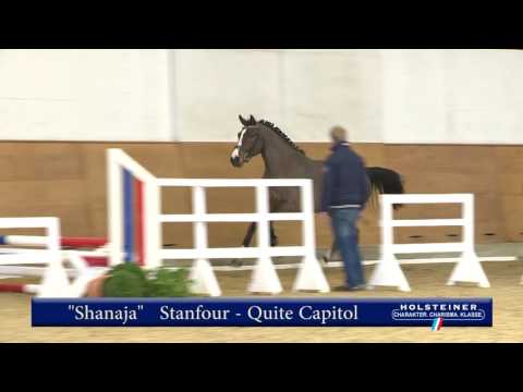 10. Shanaja v. Stanfour - Quite Capitol