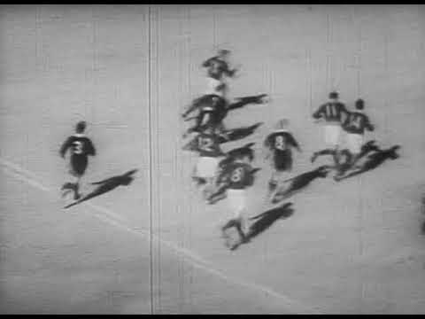 Hennie van Zyl's try