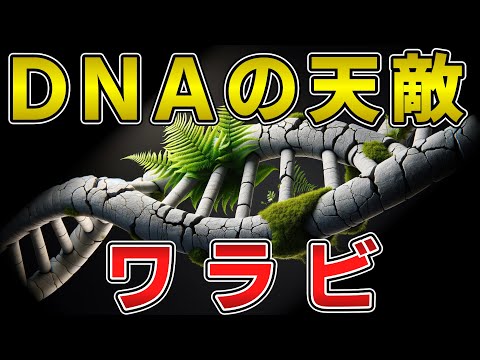 ギプスコアの旗