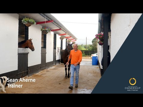 Sean Aherne, trainer