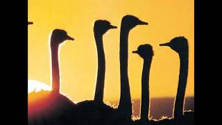 What Are You Doing the Rest of Your Life -  Milt Jackson   (1972)