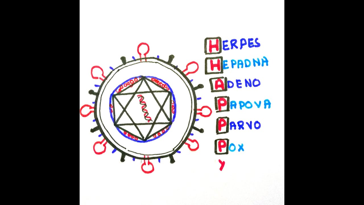 Easy ways to remember DNA viruses( in less than 60 seconds)