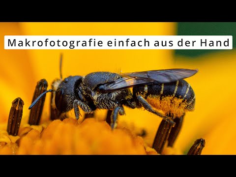 Makrofotografie - Einfach aus der Hand.