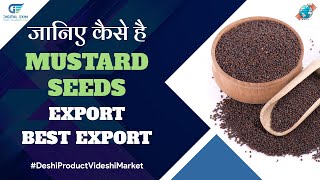 Know How MUSTARD SEEDS is the Best Product to Export From India