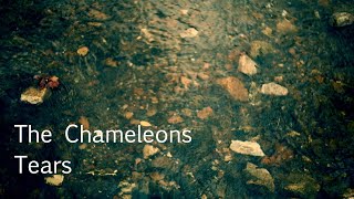 the Chameleons - Tears