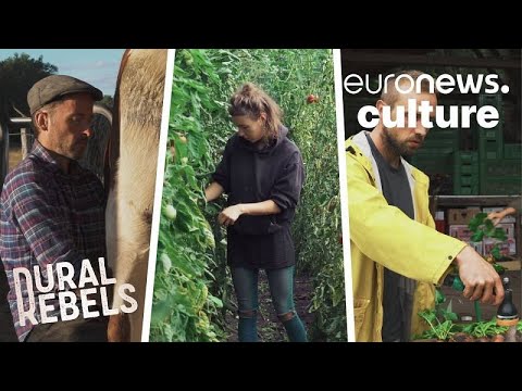 Inside the alternative farm where the food is organic