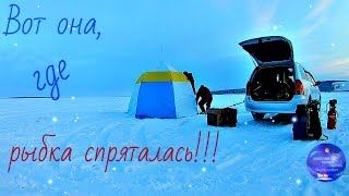 Ссылка