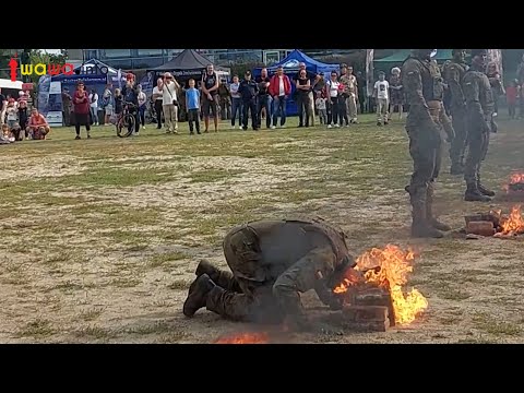 Piknik Wojska Polskiego w Wilanowie 2024