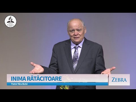 Nicu Butoi - Inima rătăcitoare | Zebra