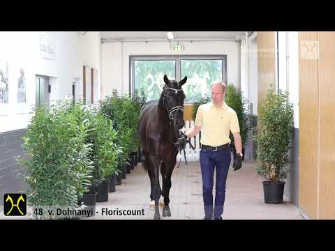 Verden Stallion Licensing 2020 - No. 48 Stallion by Dohnanyi - Floriscount - Weltmeyer