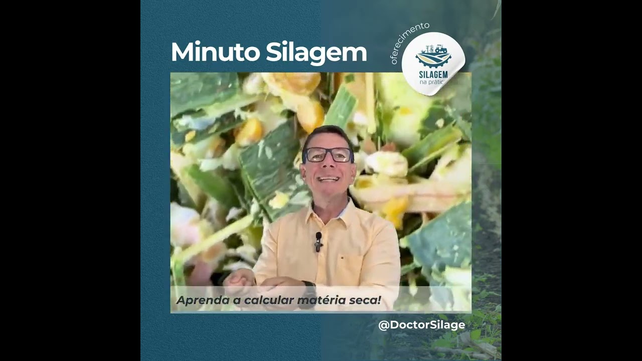 Você faz matéria seca da silagem? Sabe o que é matéria se a e para o que serve?