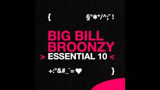 Big Bill Broonzy - Baby I Done Got Wise