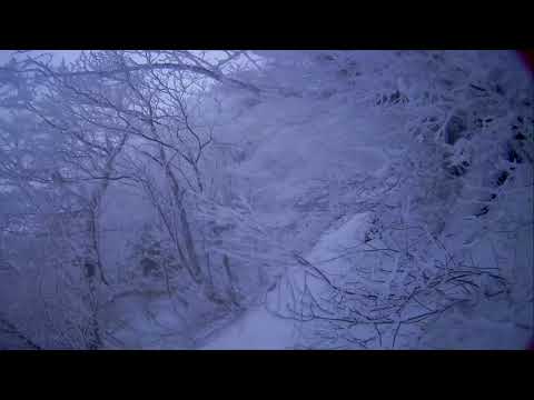 2021 0131 104744 0003　もみじ谷