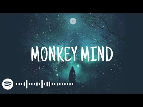 LIZOT x Paradigm x AMELY - Monkey Mind