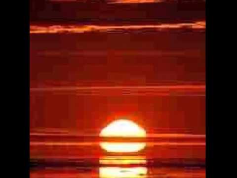 POTENTZ - SUNSET