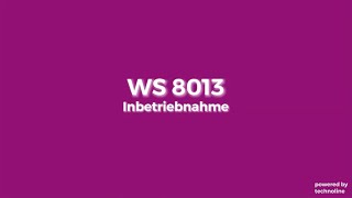 Часы настенные Technoline WS8013 Silver (WS8013)