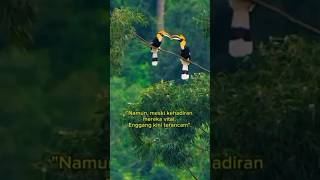 Download lagu Keajaiban Burung Enggang: Sang Pembawa Benih Hutan yang Terancam Punah! #hewanlangkadiindonesia mp3 Download lagu Keajaiban Burung Enggang: Sang Pembawa Benih Hutan yang Terancam Punah! #hewanlangkadiindonesia mp3