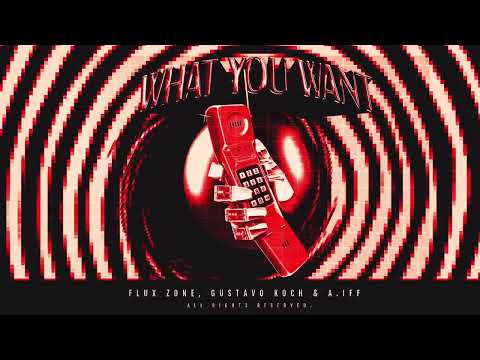 Flux Zone, Gustavo Koch & A.IFF - What You Want