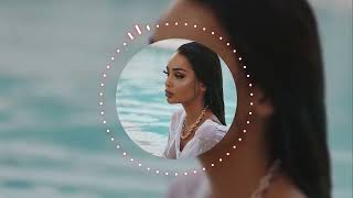 Lanterns We Never Lit | Shadows We Kept