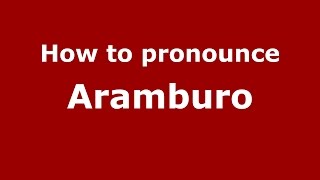 How to pronounce Aramburo