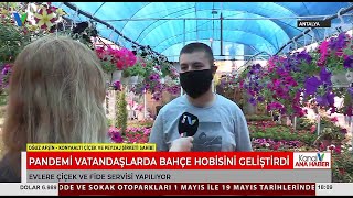 Konyaaltı Çiçek Peyzaj - Kaval V Antalya - Ana Haber