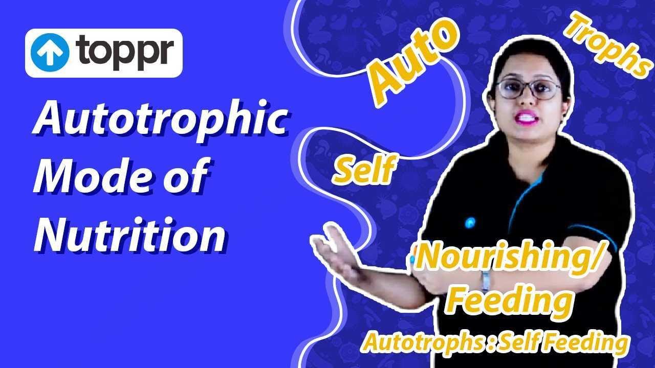 Autotrophic Mode of Nutrition | Life Process | Class 10 Biology