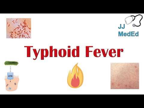 , title : 'Typhoid Fever: Pathogenesis (vectors, bacteria), Symptoms, Diagnosis, Treatment, Vaccine'