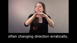 Emergency Preparedness for Tornadoes in ASL