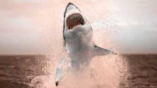 Ignition Technician - Shark Attack (Glenn Wilson Remix)