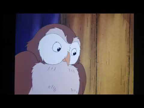 Owl - Duck Takes The Cake