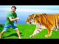 Jason Gets Online Lessons About Animals For Kids