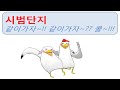 시범단지)같이가자?