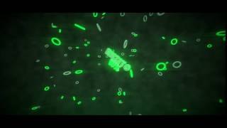 INTRO PARA ENZITO WX