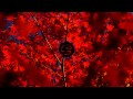 Rous - H.E.R 