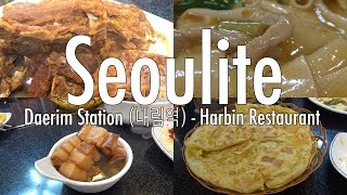 preview picture of video 'Harbin Restaurant (Daerim Station, 대림역) - Seoulite'