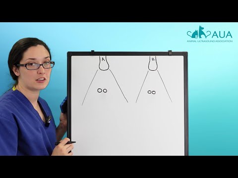 What are axial and lateral resolution (and why should you care)?