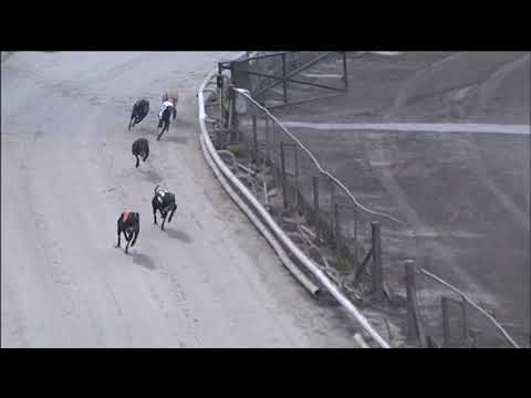 2019 NORTHERN SPRINT - HEAT 1 - T5 GRAYS CUP WINNER