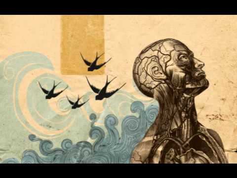 Circus Fire   Unlimited Gravity