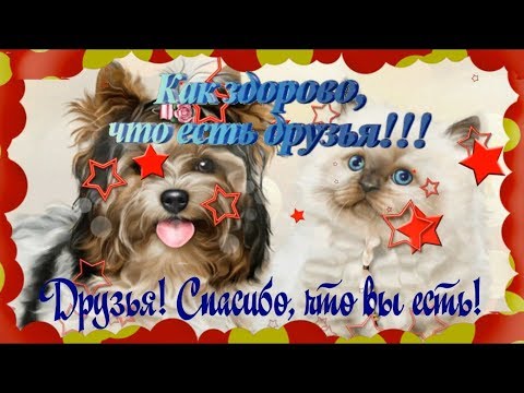 ✌Позитивчик для друзей✨