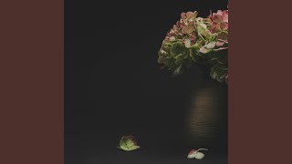 Download lagu adu domba mp3 Download lagu adu domba mp3