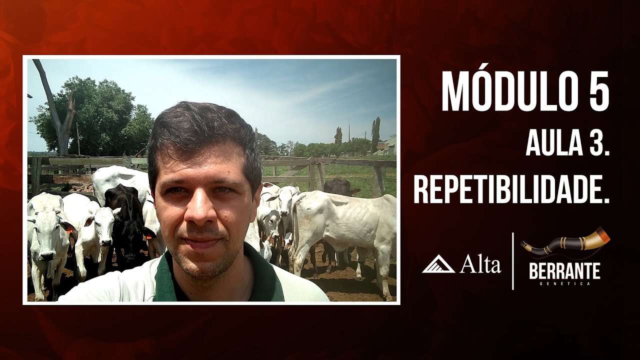 O que é repetibilidade - Berrante Genética