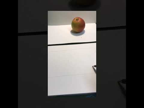 Der Apfel - die Zeichnung