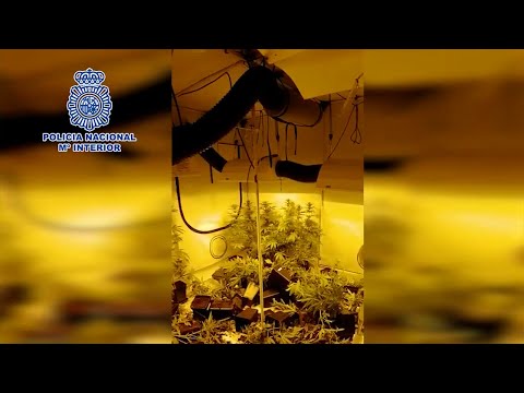 Detenida una pareja en Alcorcón por agredirse mutuamente