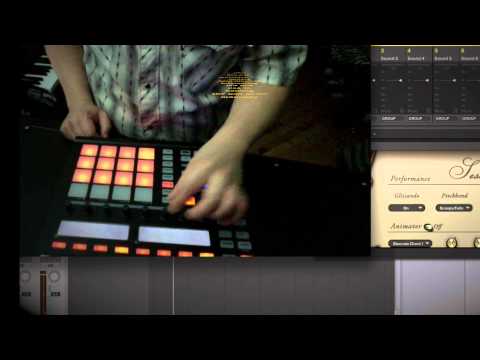 arp hold 2.3  maschine update