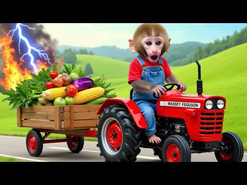 Monkey Nana Drove a Tractor Filled with colorful eggs and overcame the thief's cunning plan