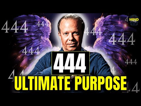Did the Universe Send YOU This Message? Decode Angel Number 444 NOW!! - Joe Dispenza