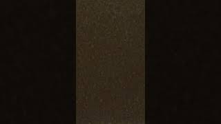 Its Cold outside - Tony Bennett featuring Lady Gaga #christmas #music