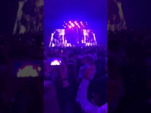 David Guetta tribute song to Avicii | Live Avicii tribute concert